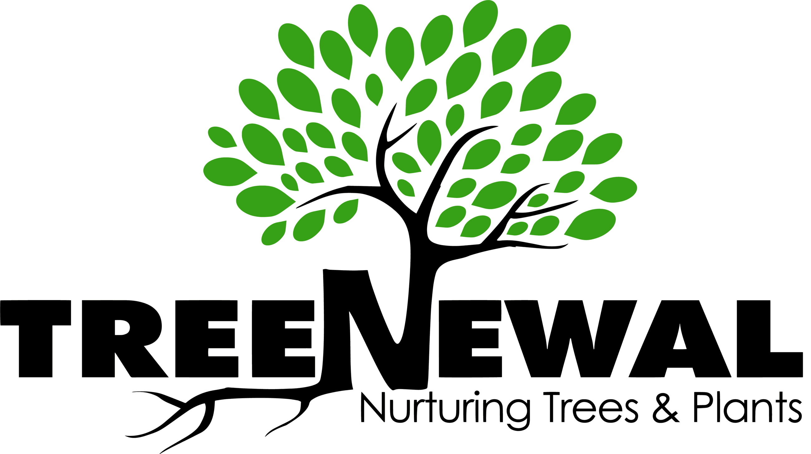 Treenewal Logo